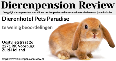 Dierenhotel zuid holland